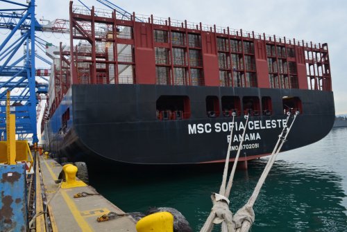 Nuevo Servicio de MSC comenzó a operar en TPS